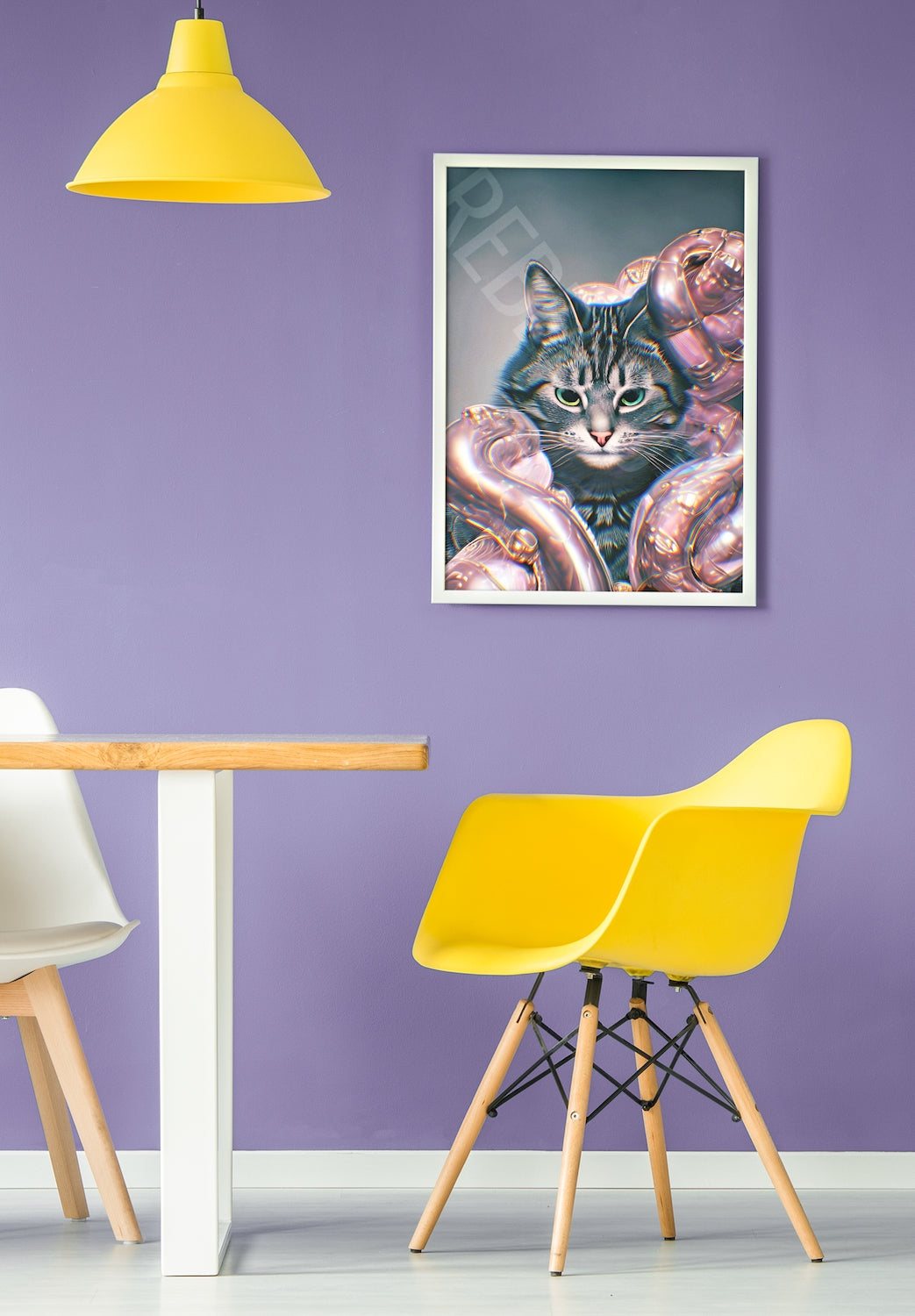 The Cat Colony is Coming