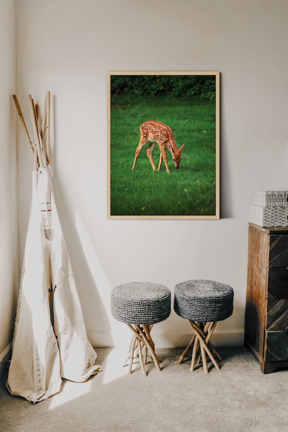 White-Tailed and Hungry