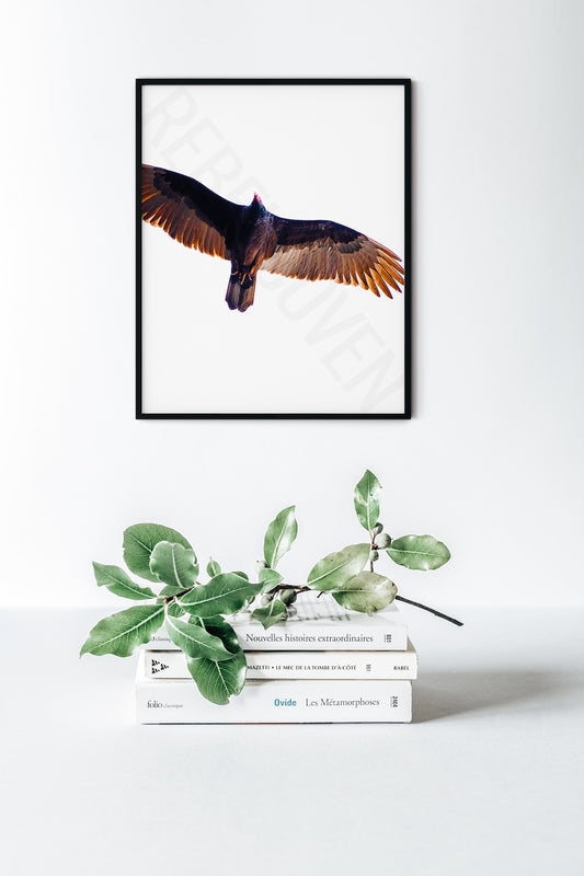 Soaring Shot